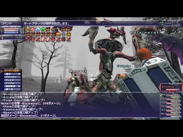 【FF11】フェイスの絆で強敵を倒す！Blazewingソロ