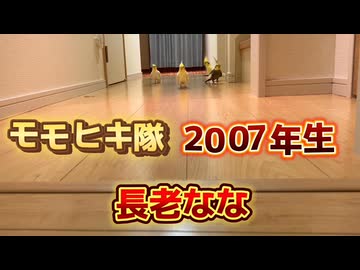 【奇跡】触れない長老が心を開いた！19歳の廊下ランと貴重すぎるカキカキに涙した