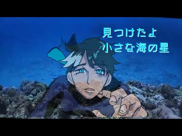 【ZOLA Project WIL】珊瑚の街