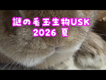謎の毛玉生物USK 2026夏