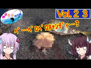 【VOICEROID実況】ゆかきり釣行録 vol.２３【ゆかきり】