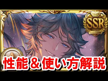 ○○適性が高い『水着シス』の性能を見ていく！【グラブル】