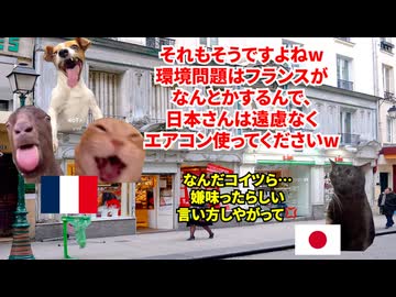 【フランス エアコン問題】40℃級の記録的熱波でﾀﾋ者5700人以上！？エアコン普及率わずか5%のフランスの実情 #猫マニ #猫ミーム