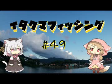 イタクマフィッシング＃49　納得がいかないんだ！