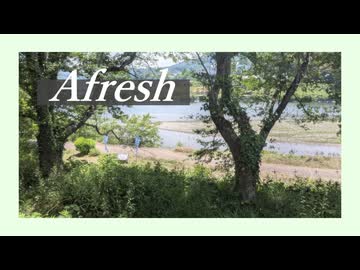 Afresh - 初音ミク / ぐみぼーる