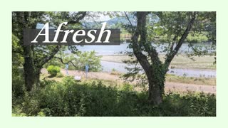 Afresh - 初音ミク / ぐみぼーる のサムネイル