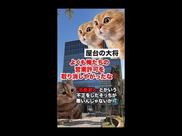 【福岡市】ヤバすぎる福岡市の再開発！なぜ日本一の成長率を達成できたのか？ #猫マニ #猫ミーム #ショート