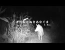 きつねたぬきあなぐま と ねこ | BGM有