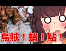 スイカ臭い手でご飯作るじょん？【ももんじゃしないきりたん】