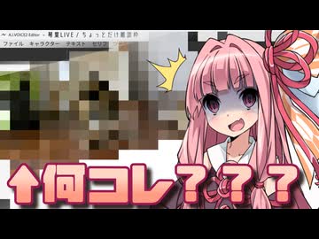 【第12回ひじき祭】友達のインスタ見る枠【琴葉茜ホラー劇場】