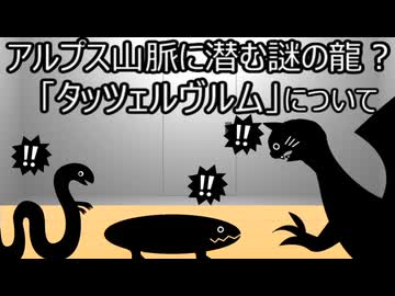 ゆっくり歴史よもやま話　タッツェルヴルム