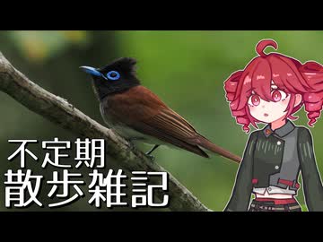 不定期散歩雑記_119 - 6月と7月の探鳥まとめ