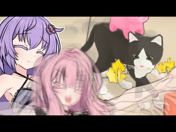 ゆかあか、回れ【Cat Chaos】