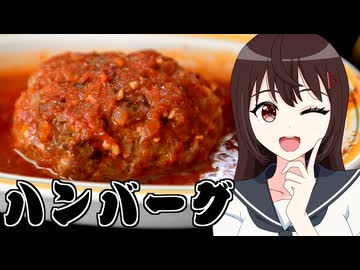HALKANA れおなさんのためのハンバーグ（風）をパルフィーが作ったよ