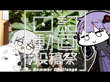 【日記動画投稿祭 2026 夏】ちんまい二人の雑日記【19日目】土いじり、デッサン、飯