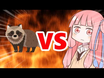 真・茜ちゃんVSたぬき