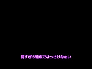 ネタがないので隙もないけど自分語り