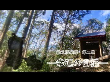 【初音ミク】幸運の白猫【オリジナル】