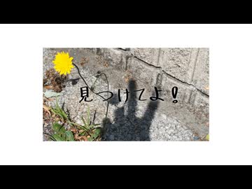 見つけてよ！ / vflower