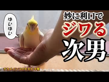 【限界】自分で帰れるのに「ジャージャー」ｗ確信犯なヒナ返りで母の時間を奪う次男が天才すぎた