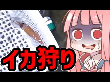 富山のホタルイカを絶滅させてきたｗｗｗ　VOICEROID実況【Vログ】