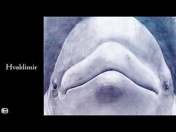 Hvaldimir / 花隈千冬