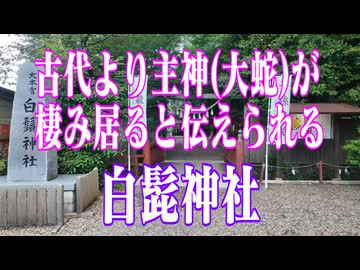 宮崎県　白鬚神社！
