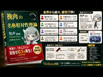 挽肉の名称相対性理論 / vincent feat.知声