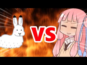 真・茜ちゃんVSバニースーツ