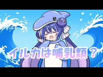 イルカは哺乳類？ / 音街ウナ feat. フリモメン【ボカコレ参加曲】