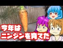 【にんじん】今年も野菜を育てつつ撮影してたけどほっぽらかされていた動画