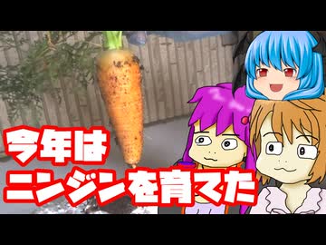 【にんじん】今年も野菜を育てつつ撮影してたけどほっぽらかされていた動画