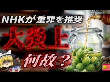 【2007】『みりんで簡単に梅酒！』→NHKが「みりん梅酒」の作り方をTVで紹介し大炎上。酒税法と手作り果実酒の落とし穴『本みりん梅酒炎上事件』を解説（ﾘﾒｲｸ