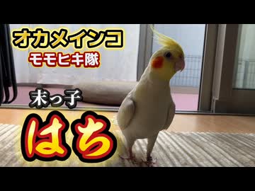 【猛獣】可愛い顔して爆食いが止まらないｗ母を翻弄する末っ子の「生き様」が強烈すぎ