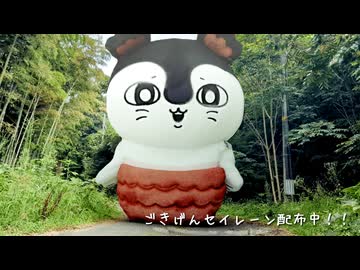 ごきげんセイレーン配布中！！