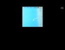 2025/9/6　【水中映像UC053】縦長配信実験　海からです