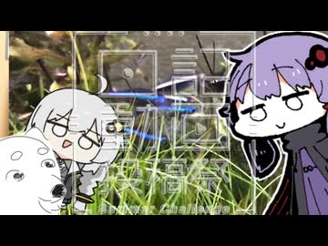 【日記動画投稿祭 2026 夏】ちんまい二人の雑日記【21日目】アクアリウム、水質の話(硬度とph)