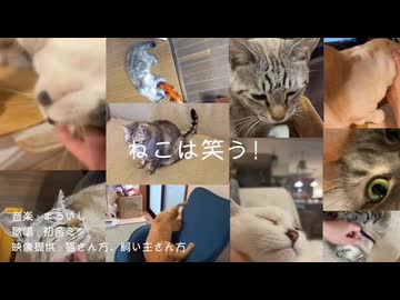 ねこは笑う！ feat.初音ミク / まるいし