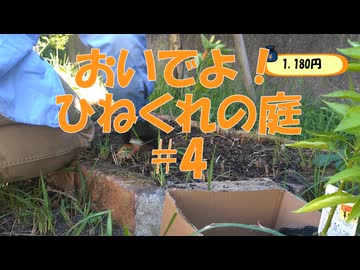 おいでよ！ひねくれの庭　#4
