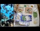 2025/9/5　【録画水中映像UC052】お魚映像見ながら呑みましょ【金曜定期便】---前半