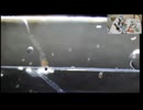 2025/9/5 【録画水中映像UC052】お魚映像見ながら呑みましょ【金曜定期便】---後半