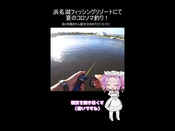 "漆黒のめたん"がなんかずっとうるさい【VOICEROIDフィッシング】【四国めたん誕生祭2026】