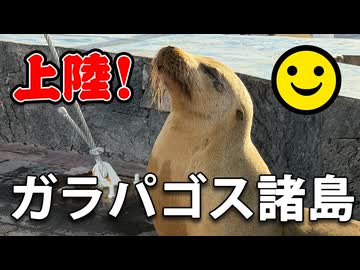 ついに上陸！いきなり固有種がたくさん現れます【男爵ガラパゴス旅行記2026】Part3