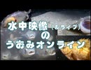2024/9/6【水中実況#U006】熱暴走対策はうまくいくか！？