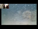 2024/09/27【水中実況#U009】富山の海から【金曜定期便】