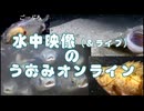 2024/9/6【水中実況#UC006】チャンネルカメラはペルチェ部を監視予定【金曜定期便】