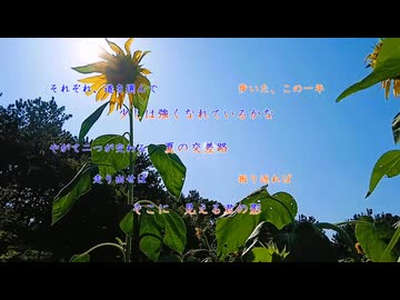 ひまわりの迷路の先に(feat. ONE & 双葉湊音)