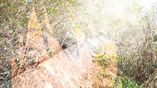 まずは縫製 / 初音ミク のサムネイル