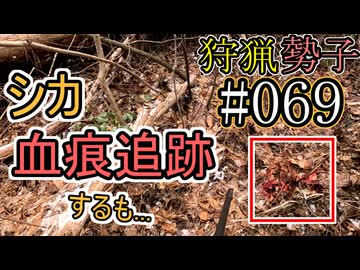 狩猟勢子動画＃069　シカ血痕追跡するも...