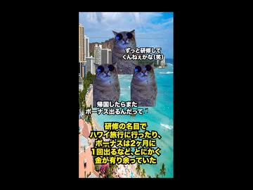 【バブル崩壊】なぜバブル経済が起きた後、日本経済は崩壊したのか？ #猫マニ #猫ミーム #ショート
